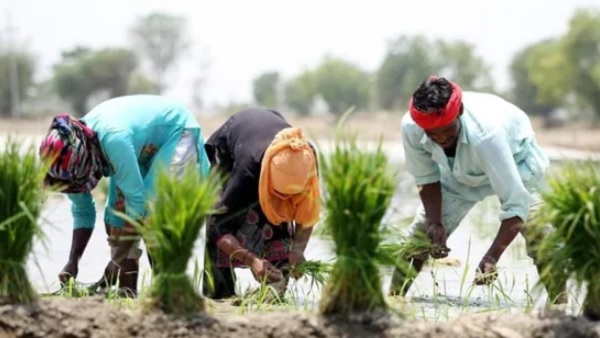 क्या है पीएम किसान सम्मान निधि योजना