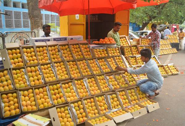आम कई प्रकार के व्यंजनों में फिट