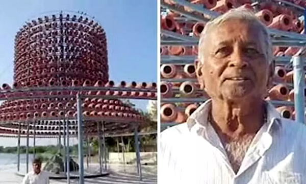 'यह पक्षियों का 5 स्टार होटल है'