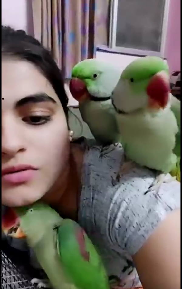 'गन्ने का जूस पीने घर पर आते थे तोते'