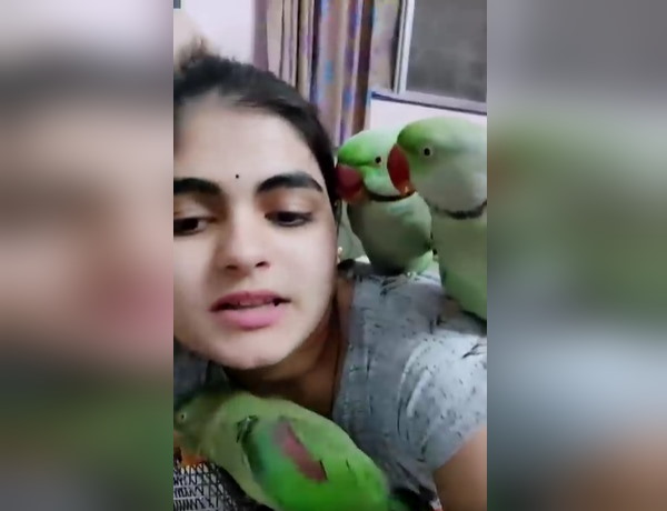 तोते और युवती का यह वीडियो मोह लेगा मन!