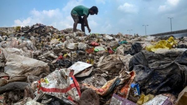 पर्यावरण के अनुकूल है एंजाइम