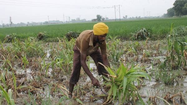 सिंचाई स्कीम में सब्सिडी के लिए शर्तें