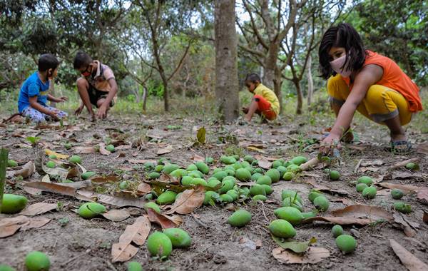 जलवायु परिवर्तन का व्यापक असर