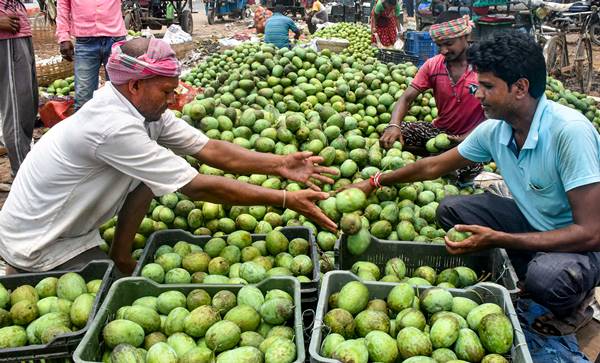 सरकार से सब्सिडी मिले तो नुकसान की भरपाई !