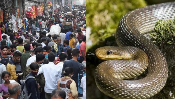 हजारों साल पहले ब्रिटेन से गायब