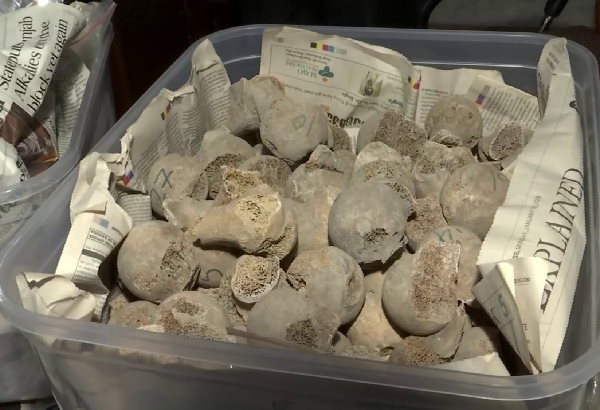 skeletons of 282 Indian soldiers excavated from a well of Punjab, belong to 1857 skeletons of 282 Indian soldiers excavated from a well of Punjab, belong to 1857