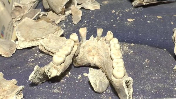 skeletons of 282 Indian soldiers excavated from a well of Punjab, belong to 1857 skeletons of 282 Indian soldiers excavated from a well of Punjab, belong to 1857