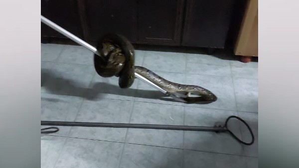 इस वजह से बची जान