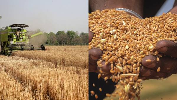 agri agri