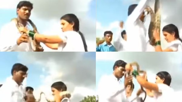 Weird Marriage: Bride and Groom exchange snake instead of Garlands in their wedding, Video goes viral Weird Marriage: Bride and Groom exchange snake instead of Garlands in their wedding, Video goes viral