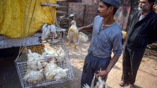 आर्थिक मंदी भी है वजह