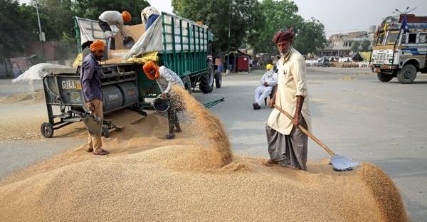 wheat export wheat export