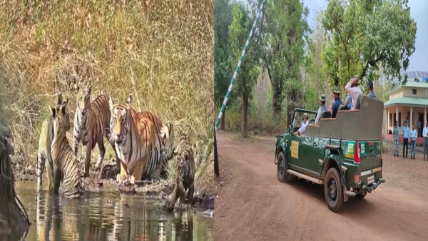 मनोरंजन के सारे इंतजाम दुरुस्त