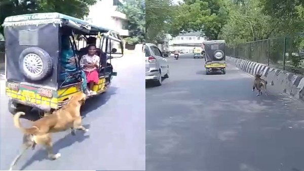 घर खालीकर दूसरी जगह शिफ्ट हो रहा था परिवार