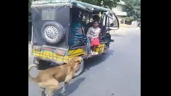 बच्चे खिलाते थे रोटी, करते थे उसके साथ मस्ती