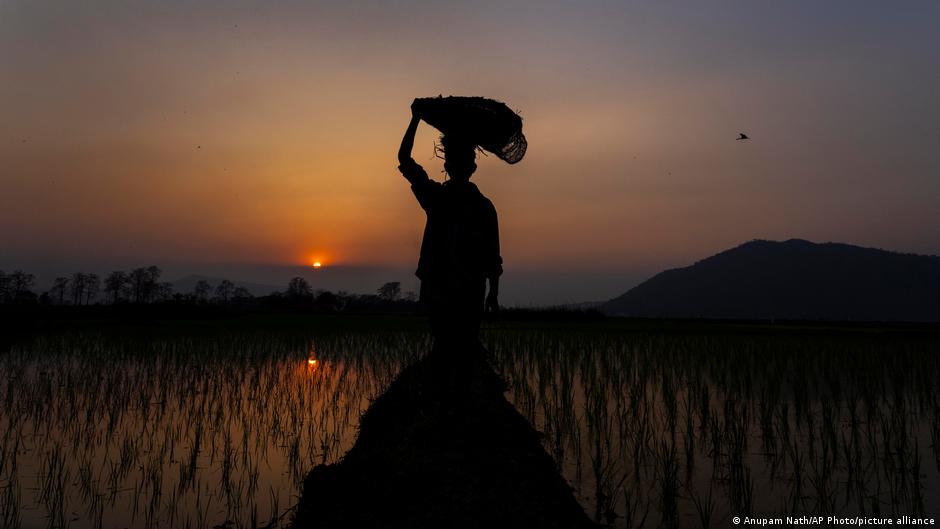 Provided by Deutsche Welle Provided by Deutsche Welle