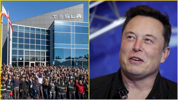 ELON MUSK ELON MUSK