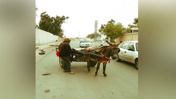 photo photo