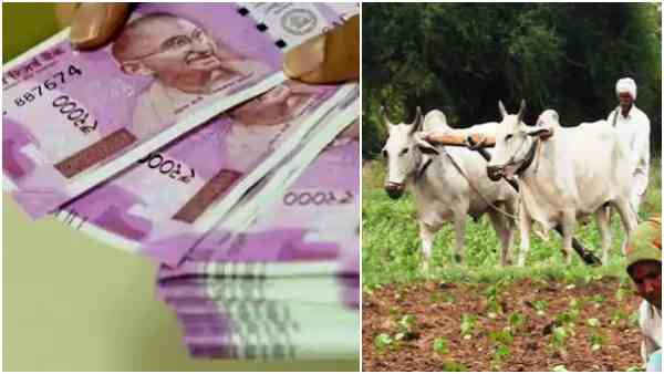 farmer income farmer income