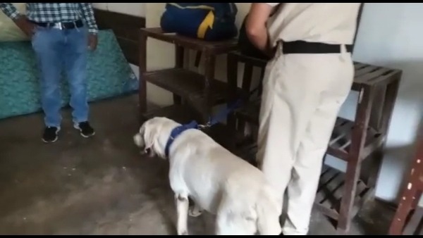 पुलिस सर्चिंग पुलिस सर्चिंग