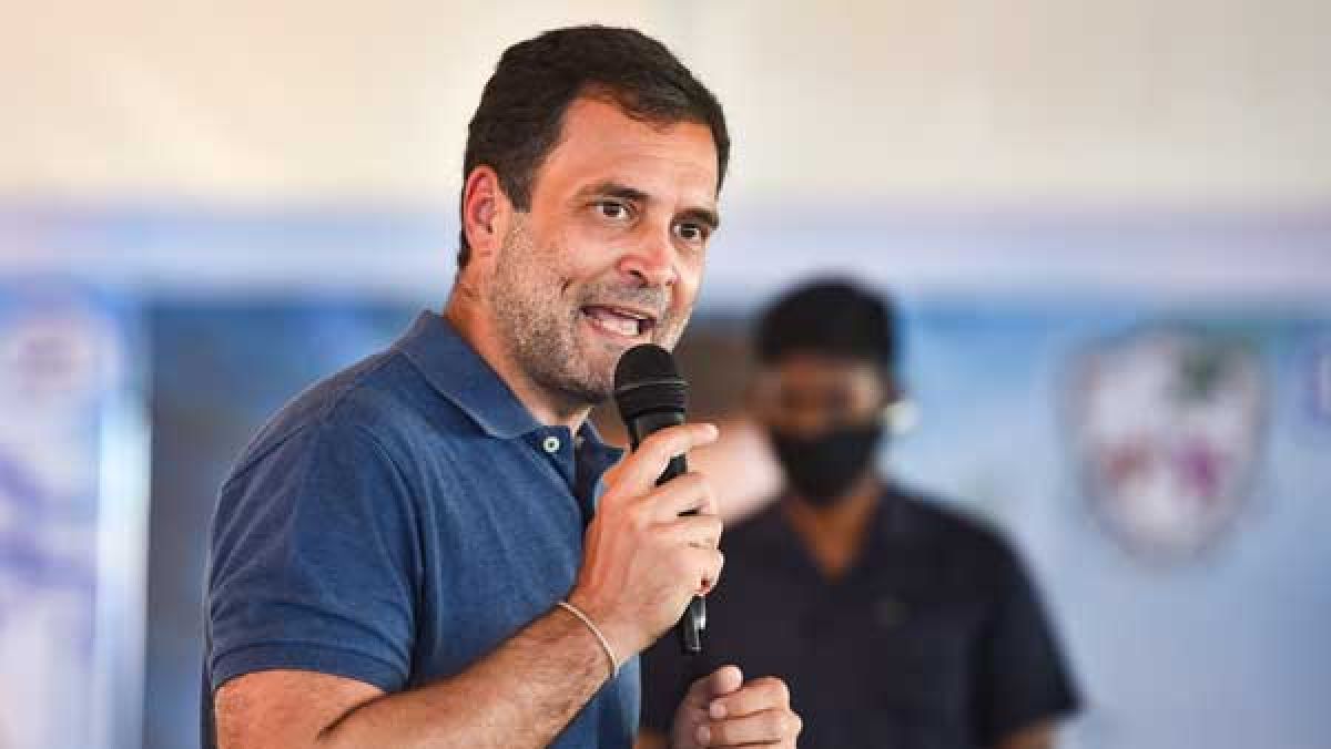 rahul rahul