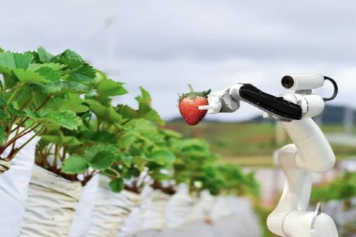 Robot for Agriculture Robot for Agriculture