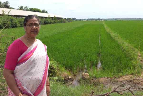 खेती के खर्च में 80% तक गिरावट