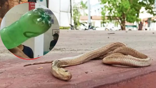 सांप को बोतल में बंद करके अस्पताल पहुंचा शख्स