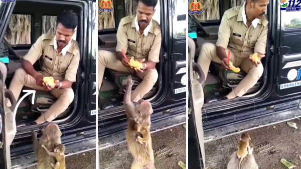 सोशल मीडिया पर वायरल हुआ वीडियो
