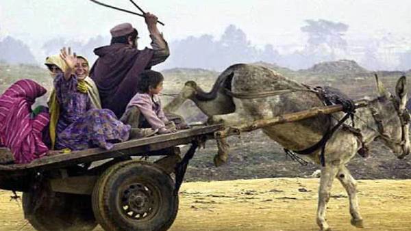 17 लाख का ऑर्डर