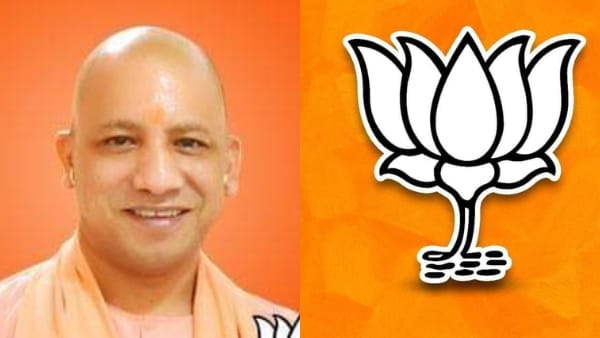 yogi yogi