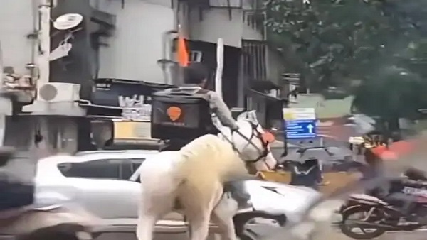 Video: Swiggy Delivery Boy Rides on Horse to fulfil order amid Mumbai rains Video: Swiggy Delivery Boy Rides on Horse to fulfil order amid Mumbai rains
