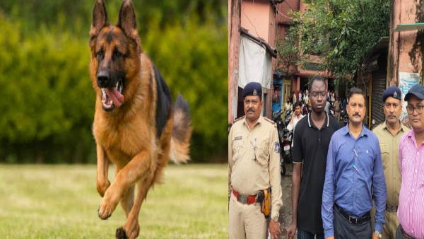 cyber crime dog of foreign breed was gifted to the daughter on her birthday, cyber thugs cheated cyber crime dog of foreign breed was gifted to the daughter on her birthday, cyber thugs cheated