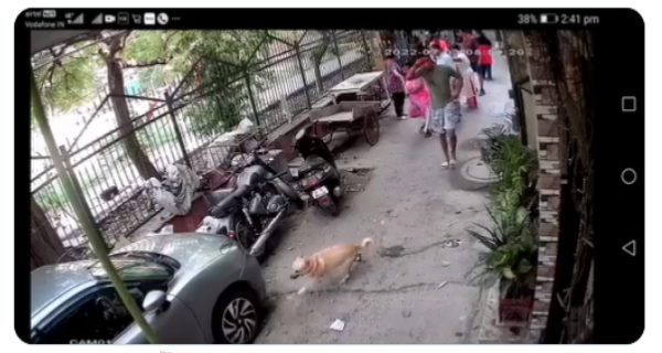 Delhi Paschim Vihar: A man injured his neighbors while their pet dog barked Delhi Paschim Vihar: A man injured his neighbors while their pet dog barked