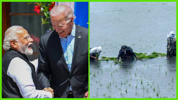 modi biden modi biden