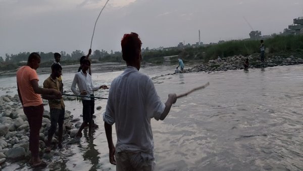 fish 2 fish 2
