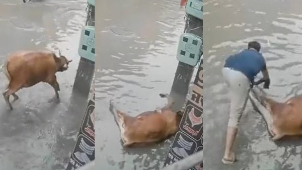 हर कोई कर रहा युवक की तारीफ