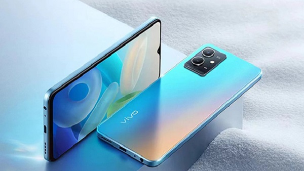 vivo vivo