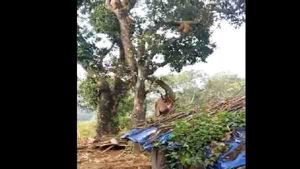 रोमांच से भरपूर है 30 सेकंड का वीडियो