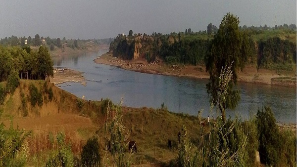 टाइगर रिजर्व बनाने शासन को भेजा गया है प्रस्ताव