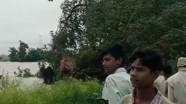 देवता के रुप में पूजते हैं, कभी नुकसान नहीं पहुंचाया