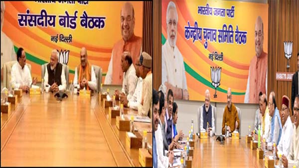 bjp delhi bjp delhi