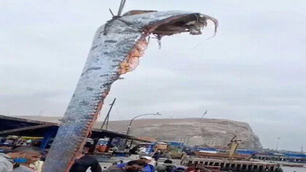 मछुआरों को मिली थी श्रापित मछली