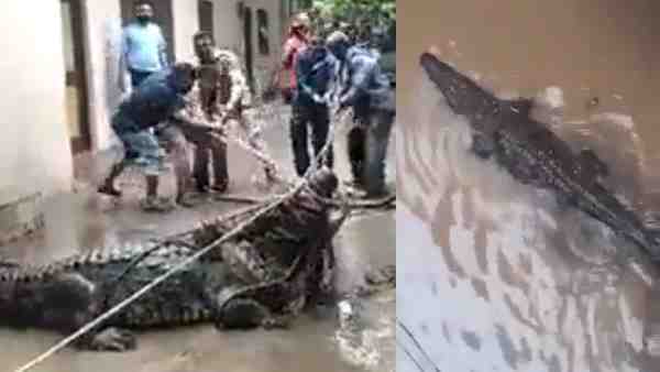 निचले इलाकों में बढ़ा खतरा