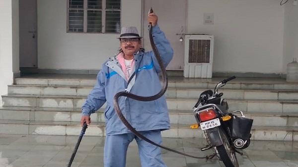 MP: डीआईजी ऑफिस में घुसा घोड़ा पछाड़ सांप MP: डीआईजी ऑफिस में घुसा घोड़ा पछाड़ सांप