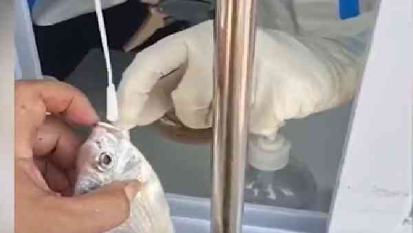 शियामेन में 50 लाख की आबादी की जांच के निर्देश