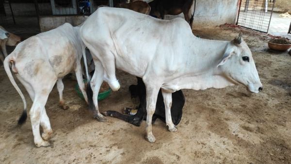 स्थानीय लोगों को मिलेगा रोजगार