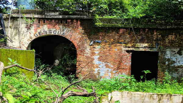पेड़ के नीचे बैठकर किताब के अधिकांश हिस्से लिखे
