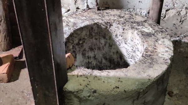जुम्मन खान के घर में एक लाख चीटियों का डेरा
